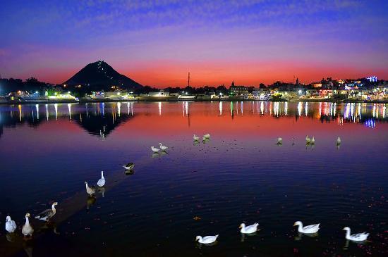 Hotel Pawan'S Palace Pushkar Buitenkant foto